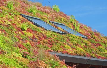 Ringmer living roof systems